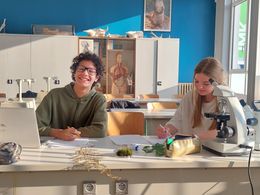 Leerlingen in de les wetenschappen